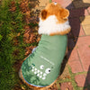 Lightweight Summer Dog Vest for Everyday Outings
