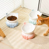 Elevated Ceramic Cat Bowl
