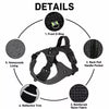 Adjustable Nylon Dog Harness with Leash