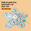 Rechargeable Interactive Cat Toy with Teaser Wand and Hideaway Cover
