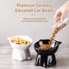 Ceramic Angled Elevated Bowl for Cats and Dogs