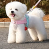 Nylon Dog Leash with Vest-Style Harness