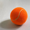 Small Nylon Tennis Ball-Style Dog Toy