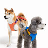 Integrated Nylon Dog Harness and Leash