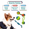 Squeaky Knotted Rope Chew Toy for Small and Medium Dogs