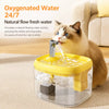 Pet Water Fountain for Cats and Small Dogs