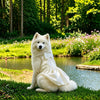 Formal One-Piece Dog Dress for Medium and Large Dogs