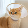 Lightweight Pet Elizabethan Collar