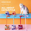 Adjustable Vest-Style Cat Harness with Flat Leash