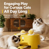 Interactive Electronic Whack-a-Mole Cat Toy with Feather Teaser