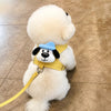 Small Dog Vest Harness with Leash for Everyday Walks
