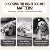 Elevated Dog Cot Bed with Removable Washable Cover