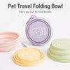 Collapsible Travel Pet Bowl