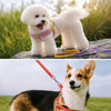 Small Dog Vest Harness for Everyday Walks