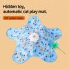 Rechargeable Interactive Cat Toy with Teaser Wand and Hideaway Cover