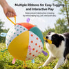 Oversized Fetch and Tug Toy Ball for Medium and Large Dogs