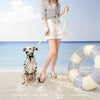 H-Style Polyester Dog Harness and Leash Set