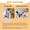 Soft Plastic Dog Muzzle with Breathable Mesh