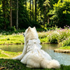 Formal One-Piece Dog Dress for Medium and Large Dogs