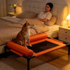 Elevated Faux Leather Pet Cot Bed for Dogs and Cats
