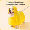 Waterproof Dog Raincoat for Small and Medium Dogs