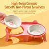 Ceramic Double Cat Bowl Set with Stand for Food & Water