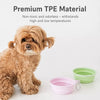 Collapsible Travel Pet Bowl