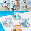 H-Style Polyester Dog Harness and Leash Set