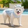 Lightweight Mesh Dog Vest for Everyday Wear