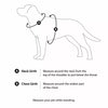 Integrated Nylon Dog Harness and Leash