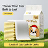 Disposable Absorbent Dog Potty Pads