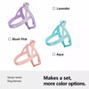 Nylon Dog Harness for Everyday Walks