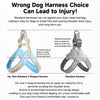 Y-Shaped Dog Harness for Small to Medium Dogs
