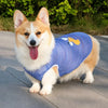 Lightweight Summer Dog Vest for Everyday Outings