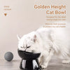 Ceramic Angled Elevated Bowl for Cats and Dogs