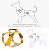 Vest-Style Dog Harness with Round Leash
