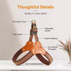 Vest-Style Dog Harness and Leash for Small to Medium Dogs