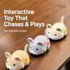 Interactive Electronic Mouse Cat Toy with Sound