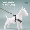 Small Dog Vest Harness for Walks