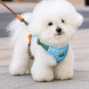 Adjustable Polyester Dog Harness for Everyday Walks | Moggold