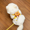 Small Dog Vest Harness with Leash for Everyday Walks