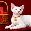 Chinese New Year Pet Collar with Decorative Charm