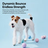 Synthetic Leather Tennis Ball Dog Toy for Fetch and Tug