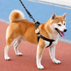 Adjustable Dog Harness Vest