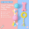 Dog Chew Toys for Play and Puppy Teething