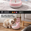 Pet Water Fountain for Cats and Dogs