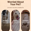 Elevated Mesh Pet Cot for Dogs ¨C Iron Frame, All-Season Design