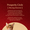 Chinese New Year Pet Collar with Decorative Charm