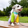 Nylon Four-Leg Dog Suit for Outdoor Walks and Outings
