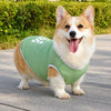 Lightweight Summer Dog Vest for Everyday Outings